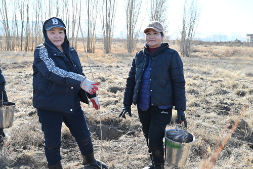 transport/image/2025/11/03/17s9bj4rjpw0t8mv/DSC_6336