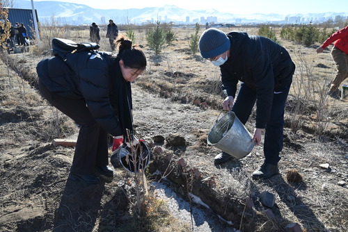 transport/image/2025/11/03/3mjbt7qshitf73ug/DSC_6409