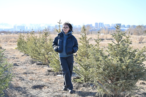 transport/image/2025/11/03/8lxiqbhpjsz7g67q/DSC_6370