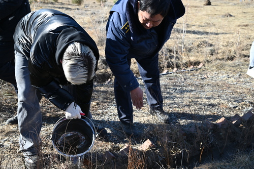 transport/image/2025/11/03/ci3a6h0l5ortmrwt/DSC_6382