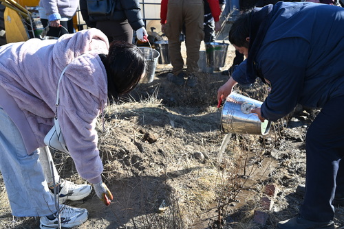 transport/image/2025/11/03/h0v5geb1d0fcidce/DSC_6392