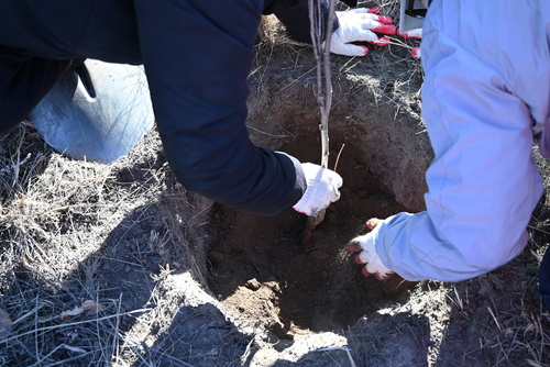 transport/image/2025/11/03/ma2a7tj56imvnlq1/DSC_6282