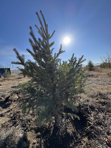 transport/image/2025/11/03/valifbbd5scd6t2s/574385287_1152329330344325_9161880472828794527_n