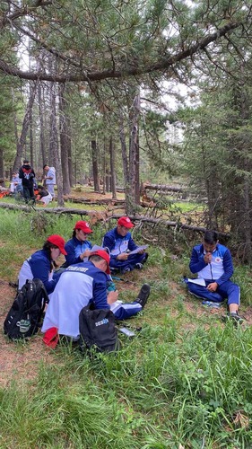 transport/image/2025/11/28/pb9klx671wpgna7t/viber_image_2025-07-04_20-11-15-643